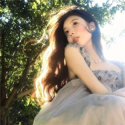 猫头鹰海报